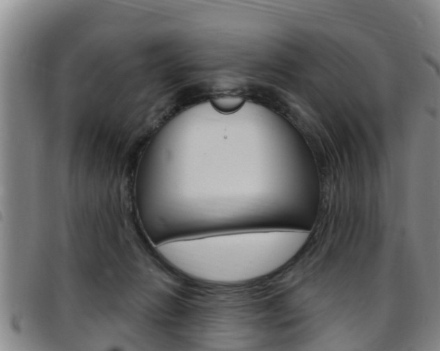 X0000097870270200803140924