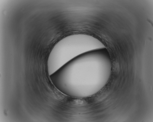 X0000097870272200803140924