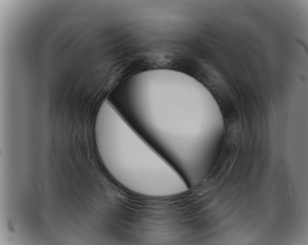 X0000097870274200803140924