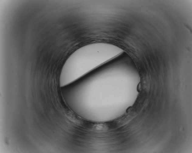 X0000097870275200803140924