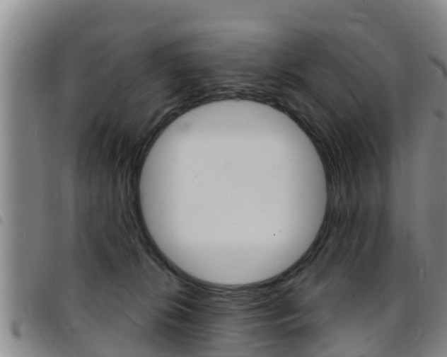 X0000097870276200803140924