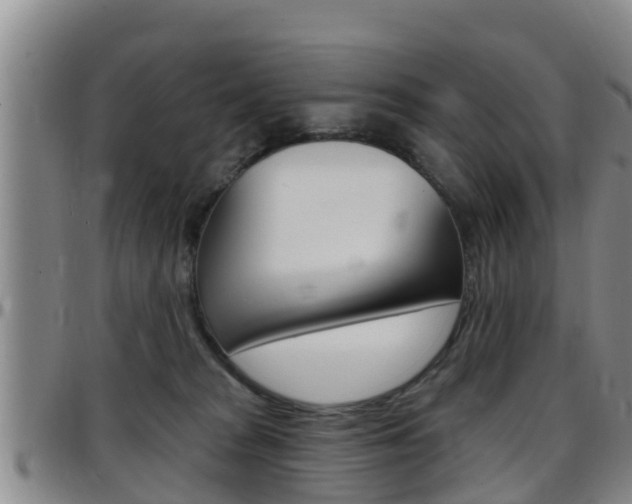 X0000097870277200803140924