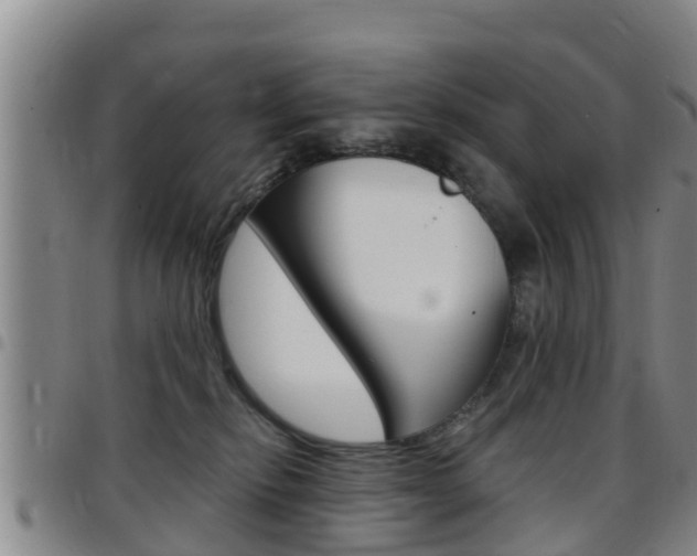 X0000097870278200803140924