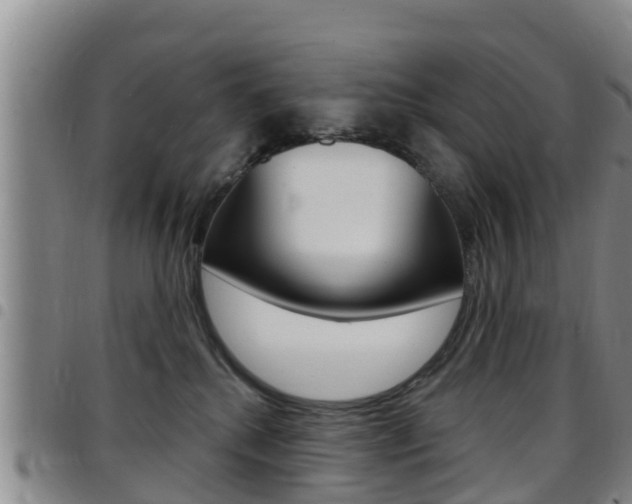 X0000097870280200803140924