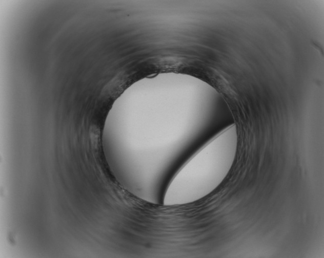 X0000097870283200803140924