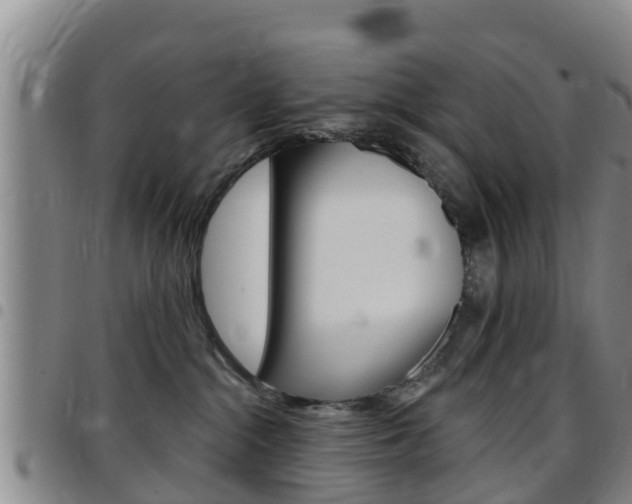 X0000097870284200803140924