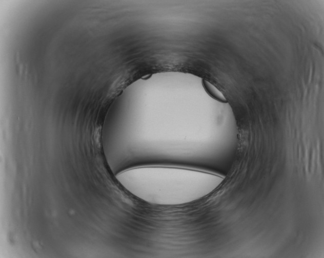 X0000097870286200803140924