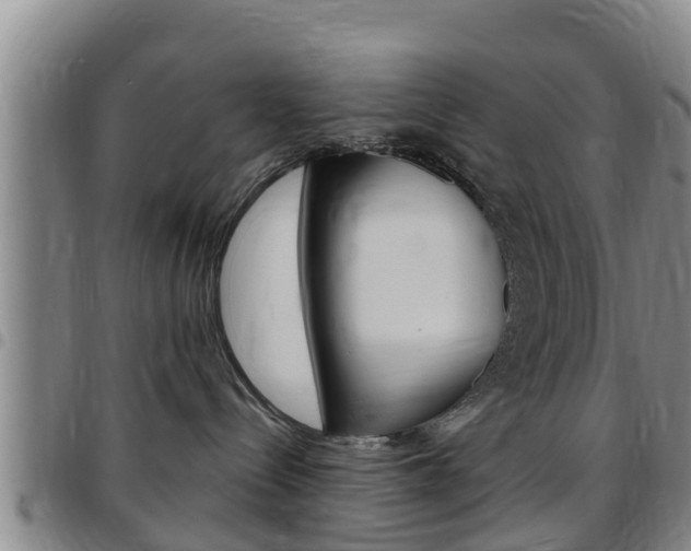 X0000097870288200803140924