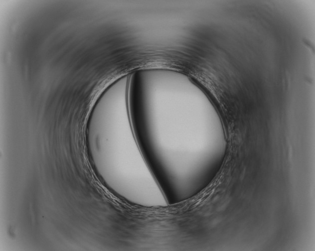 X0000097870289200803140924