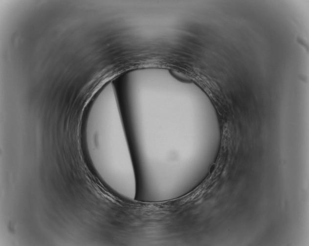X0000097870290200803140924