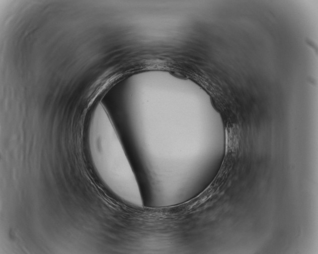 X0000097870291200803140924