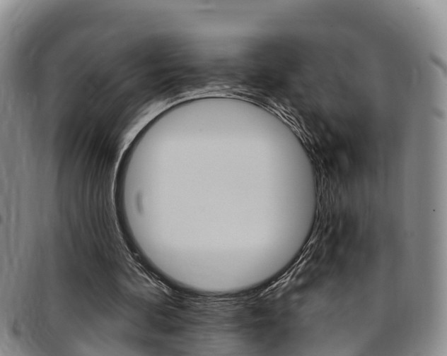 X0000097870292200803140924