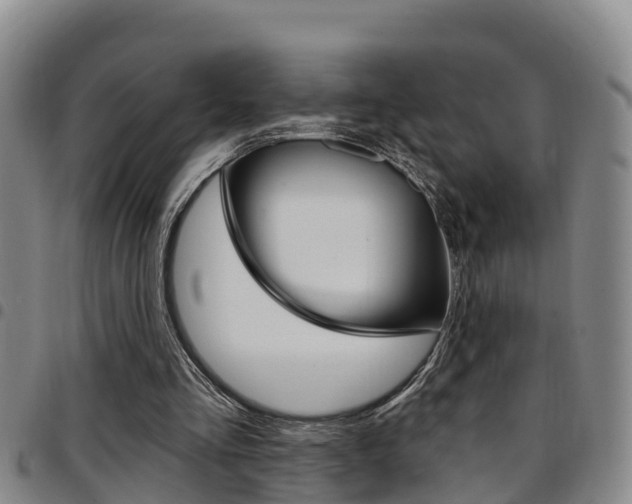 X0000097870293200803140924