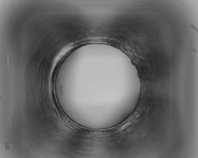 X0000097870294200803140924