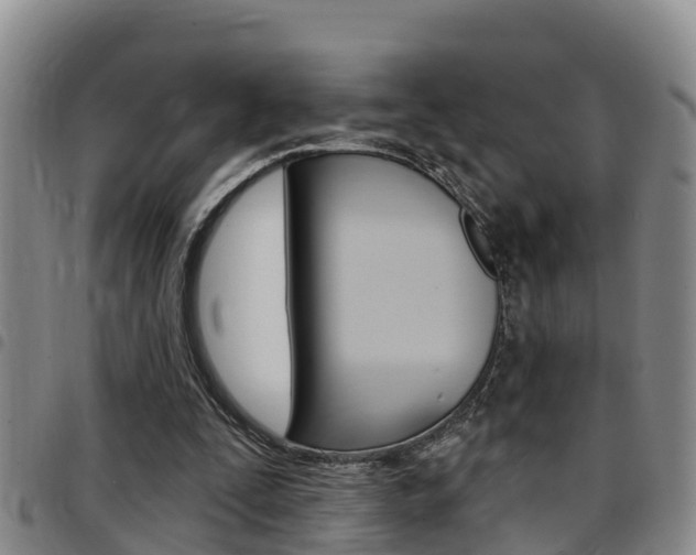 X0000097870295200803140924