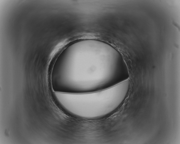 X0000097870296200803140924