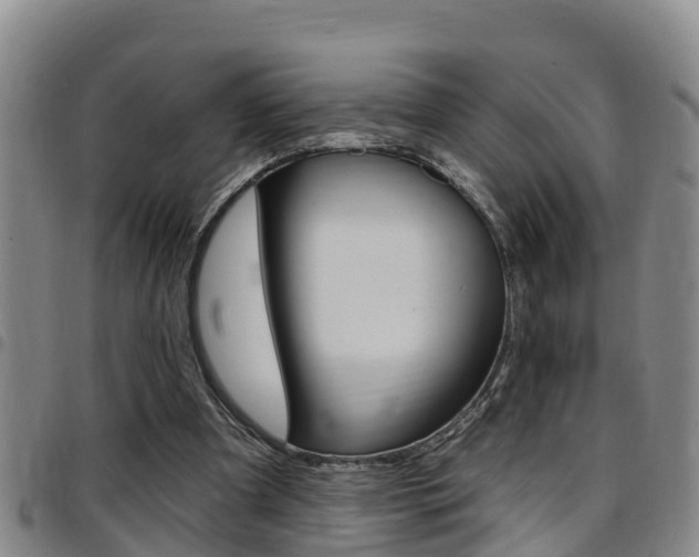 X0000097870297200803140924