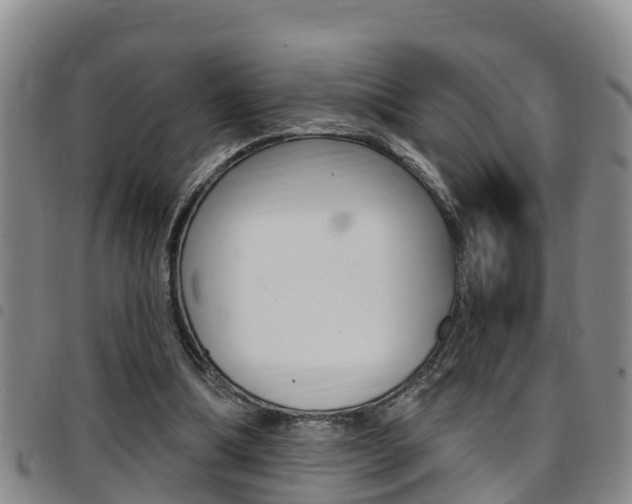 X0000097870298200803140924