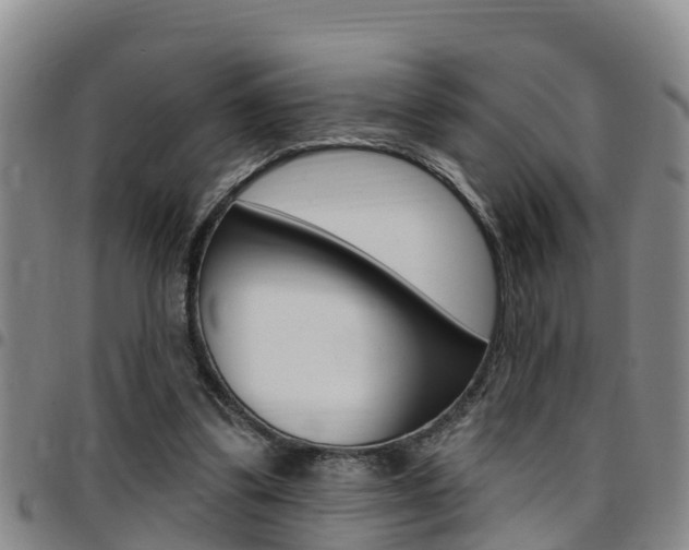 X0000097870299200803140924