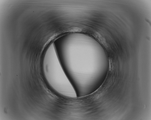 X0000097870300200803140924