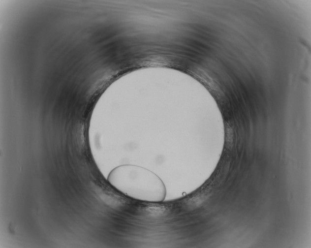 X0000097870302200803140924