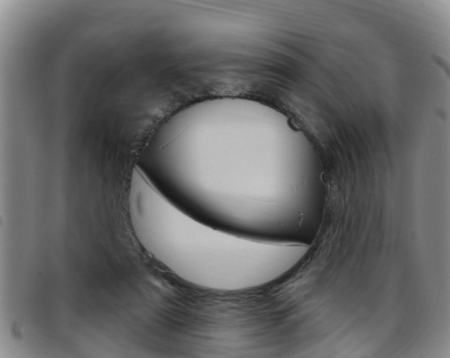 X0000097870307200803140924
