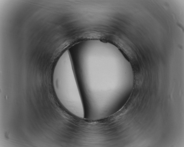 X0000097870309200803140924