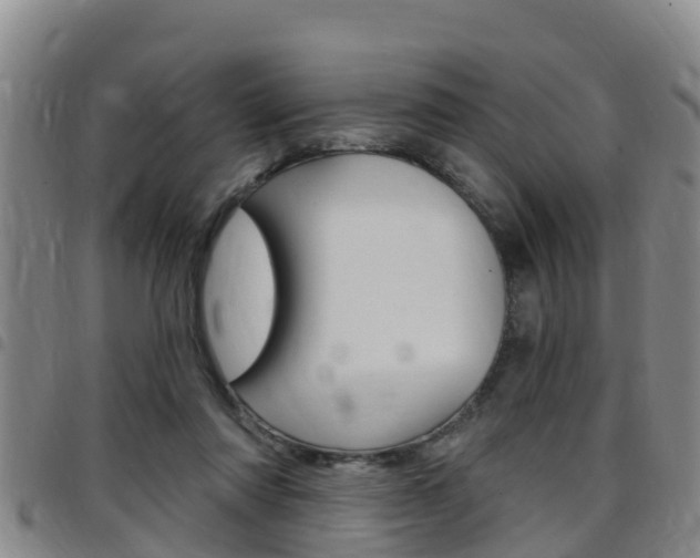 X0000097870310200803140923