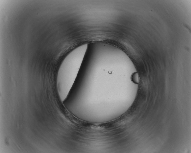 X0000097870311200803140923