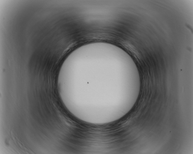 X0000097870312200803140923