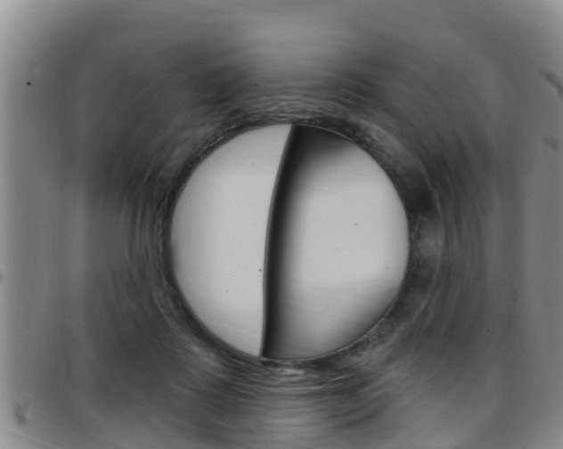 X0000097870315200803140923