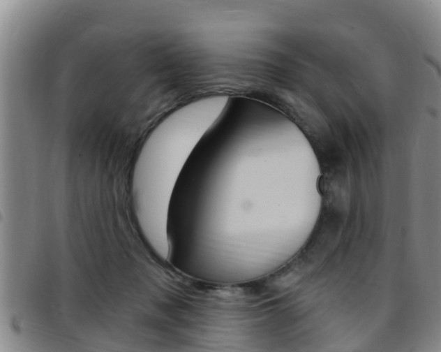 X0000097870317200803140923