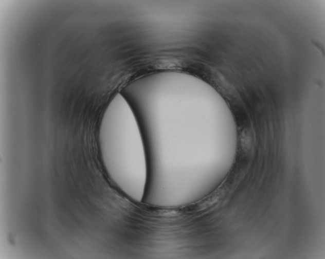 X0000097870322200803140923
