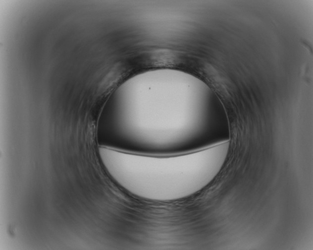 X0000097870325200803140923