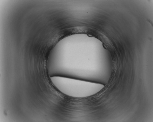 X0000097870326200803140923