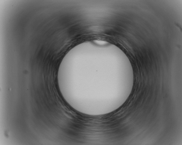 X0000097870328200803140923