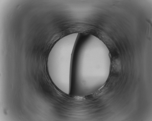 X0000097870333200803140923
