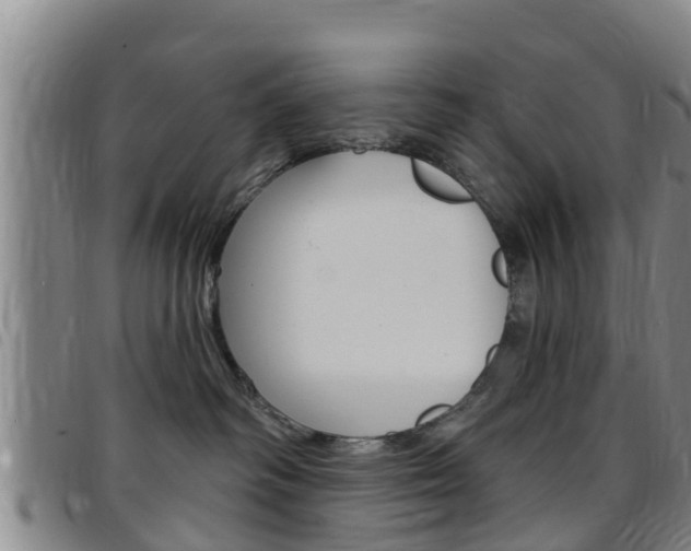 X0000097870334200803140923