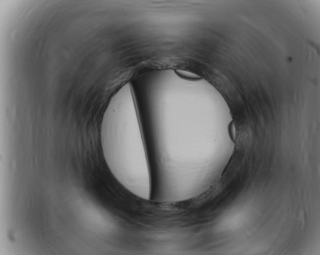 X0000097870335200803140923