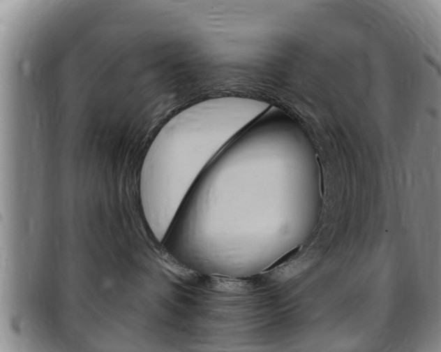 X0000097870336200803140923