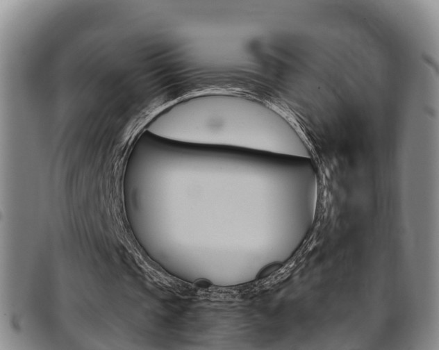 X0000097870337200803140922