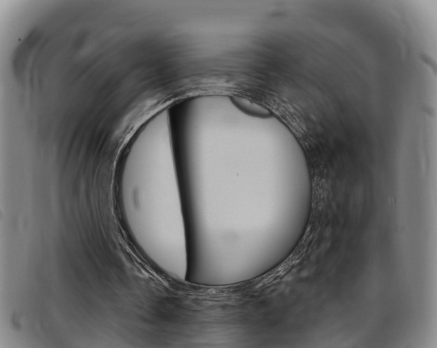X0000097870338200803140923
