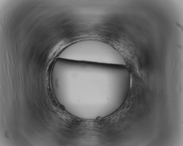 X0000097870339200803140923