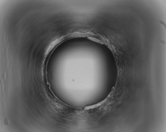 X0000097870340200803140923