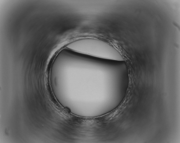 X0000097870342200803140923