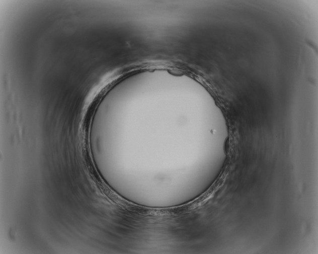 X0000097870343200803140923