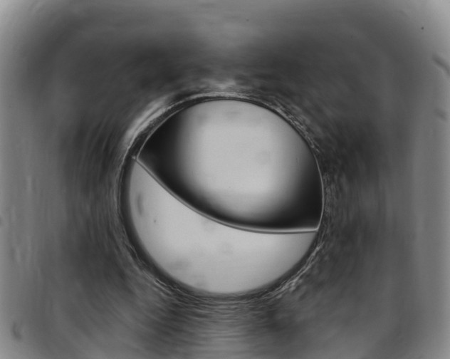 X0000097870344200803140923