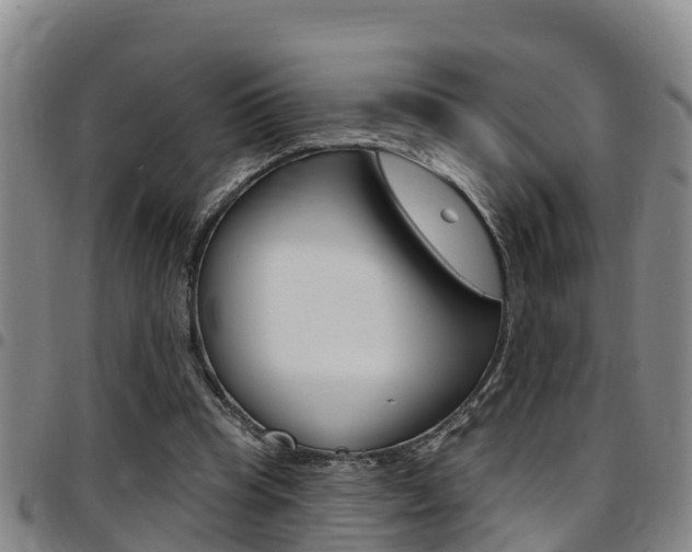 X0000097870345200803140923