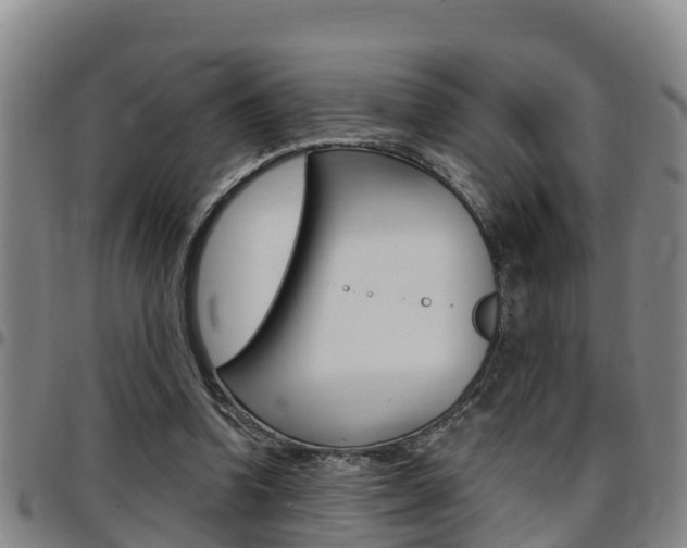 X0000097870346200803140923