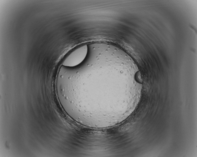 X0000097870347200803140923